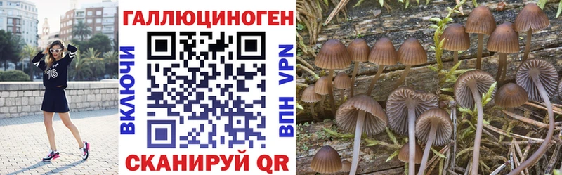 mega сайт  Жиздра  Галлюциногенные грибы GOLDEN TEACHER 